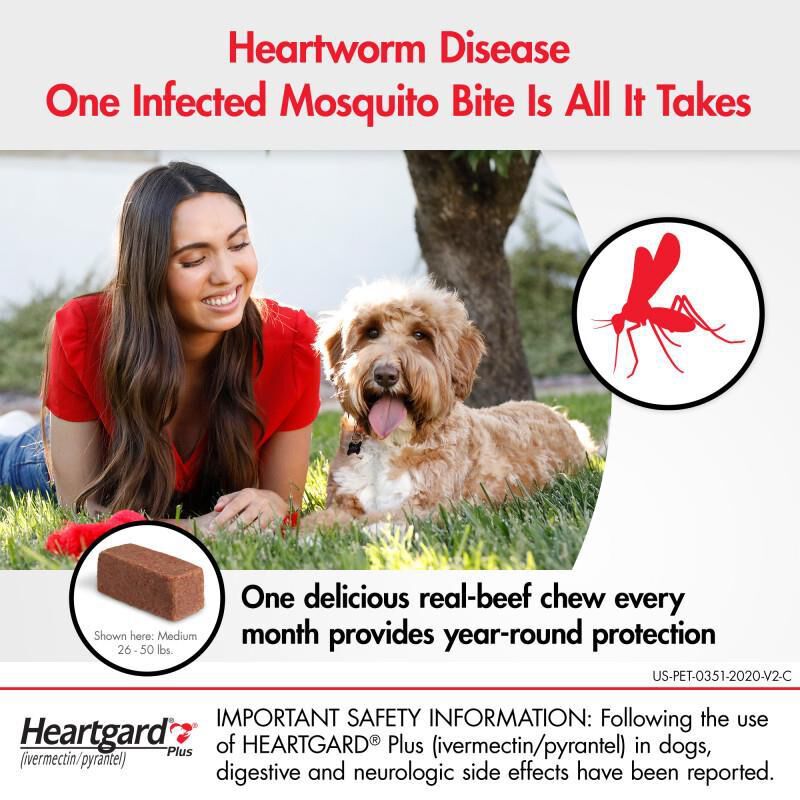 Heartgard Plus Chewables for Dogs - Protects from Heartworm