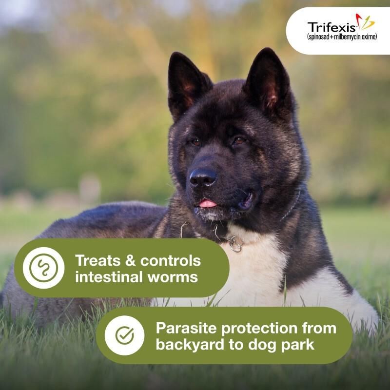 Trifexis Chewable Tablets for Dogs 20.1-40 lbs Green, 3 Month Supply