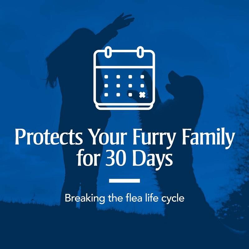 PetArmor Plus Flea and Tick Prevention for Large Breed Dogs (45 to 88 Pounds) Topical, 3 Monthly Treatments