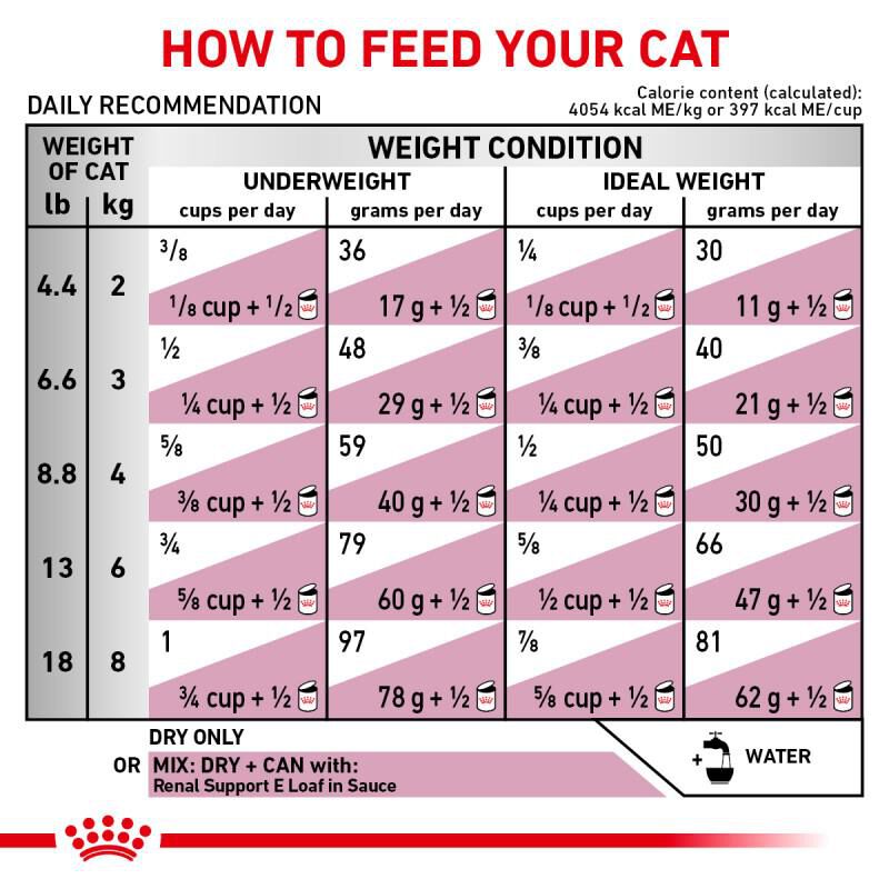 Royal Canin Veterinary Diet Adult Renal Support S Dry Cat Food