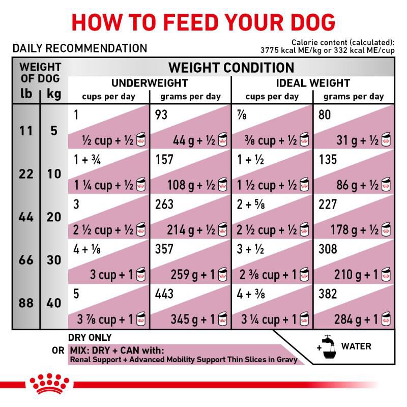 Royal Canin Veterinary Diet Adult Multifunction Renal Support + Advanced Mobility Support Dry Dog Food