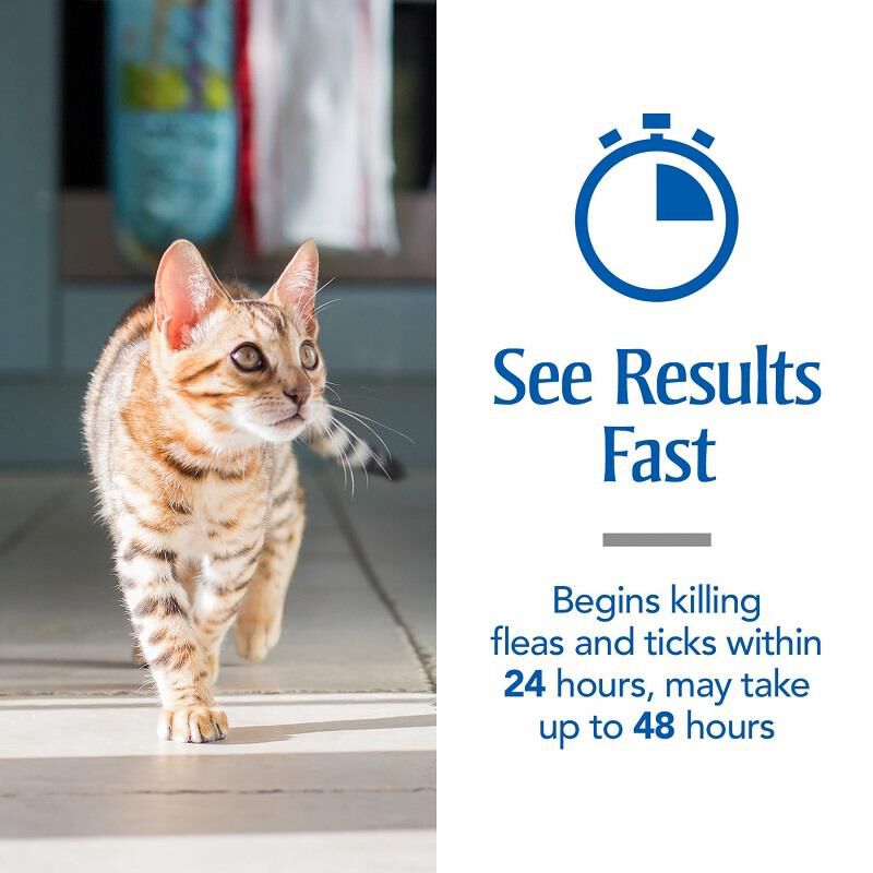 PetArmor Plus for Cats Allivet