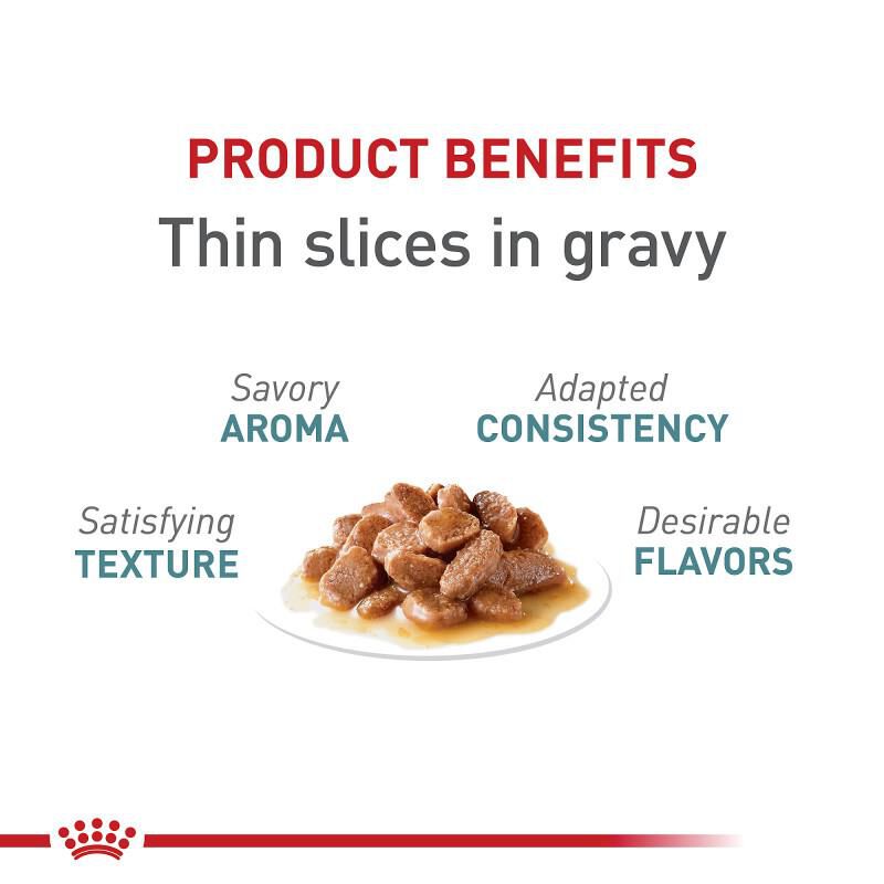 Royal Canin Feline Care Nutrition Adult Hairball Care Thin Slices in Gravy Canned Cat Food, 24 x 3 oz cans