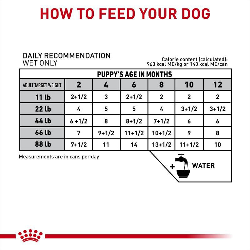 Royal Canin Veterinary Diet Gastrointestinal Puppy Ultra Soft Mousse in Sauce Canned Food, 24 x 5.1 oz cans