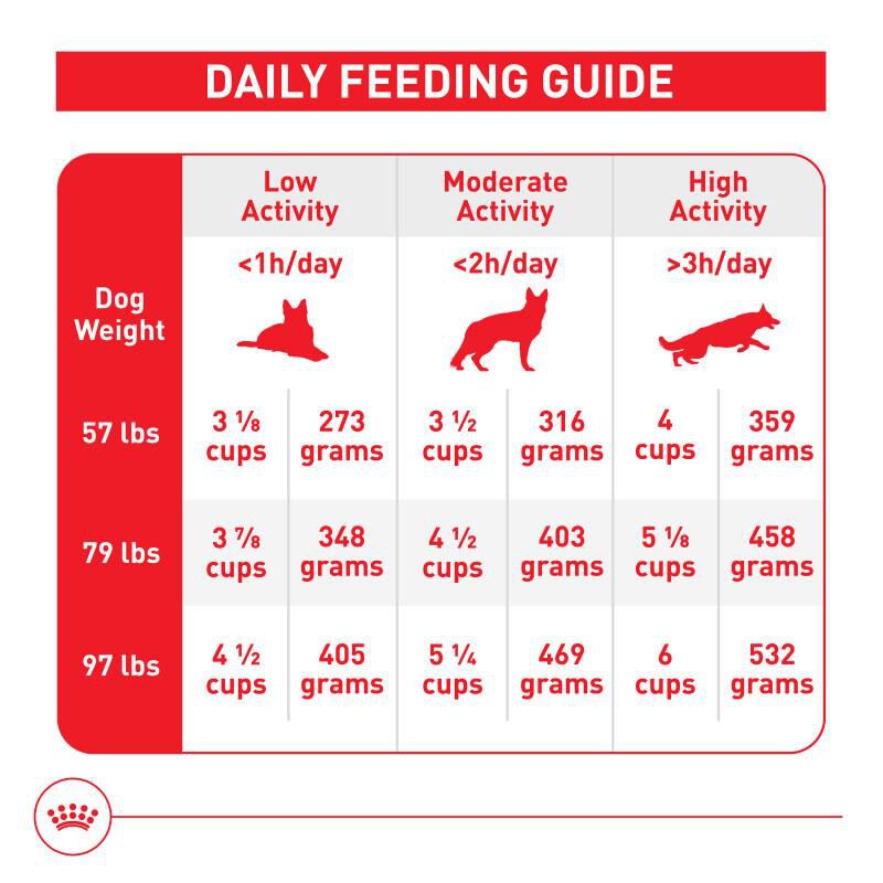 Royal Canin Size Health Nutrition Large Adult 5+ Adult Dry Dog Food, 30 lb bag