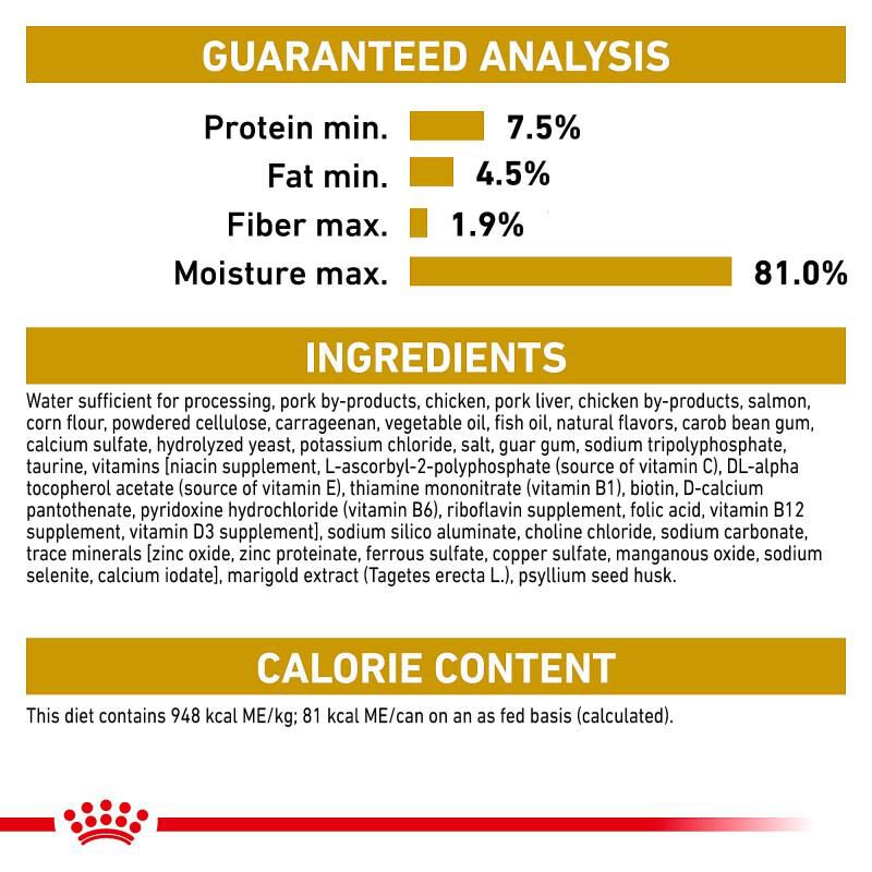 Royal Canin Feline Breed Nutrition Persian Adult Loaf in Sauce Canned Cat Food, 24 x 3 oz cans