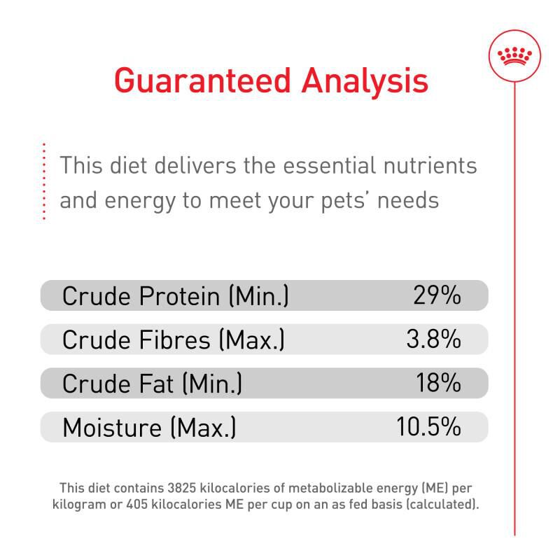 Royal Canin Size Health Nutrition X-Small Puppy Dry Food