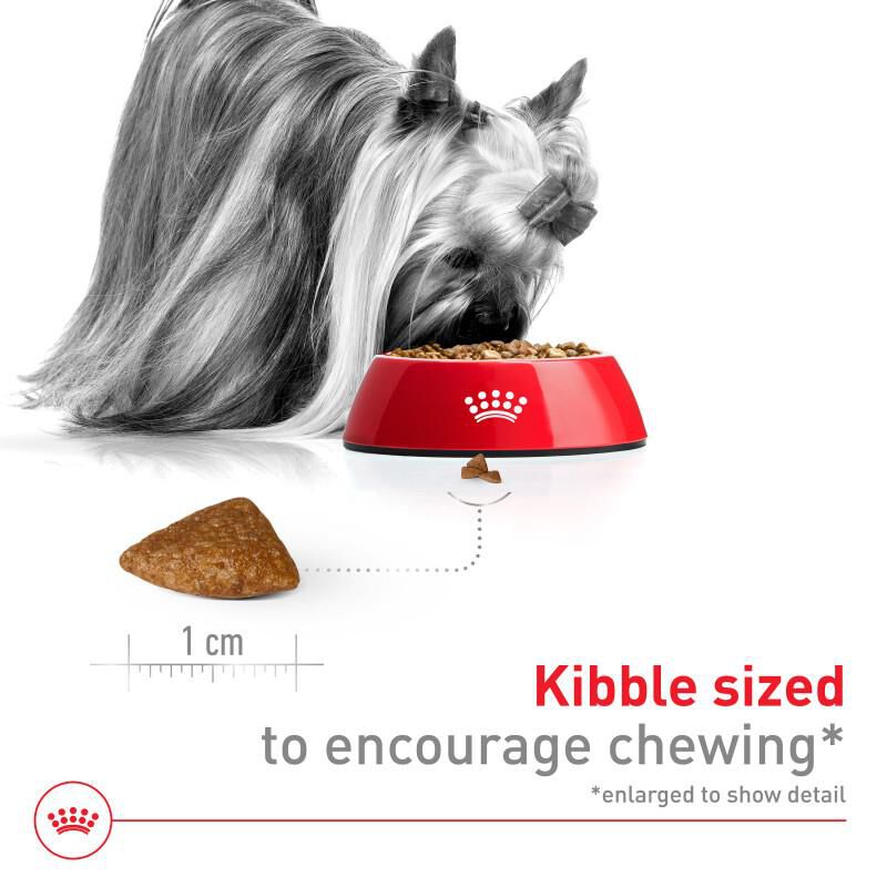 Royal Canin Size Health Nutrition X-Small Aging 12+ Dry Dog Food 2.5 lb bag