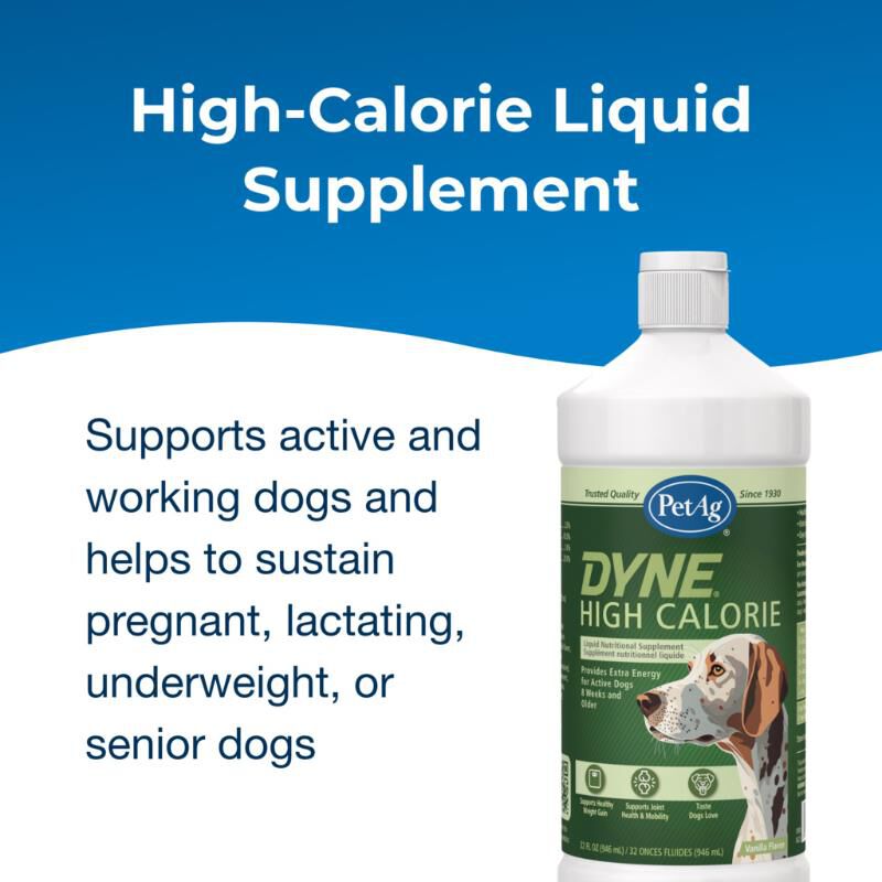 PetAg Dyne High Calorie Liquid Nutritional Supplement for Dogs & Puppies