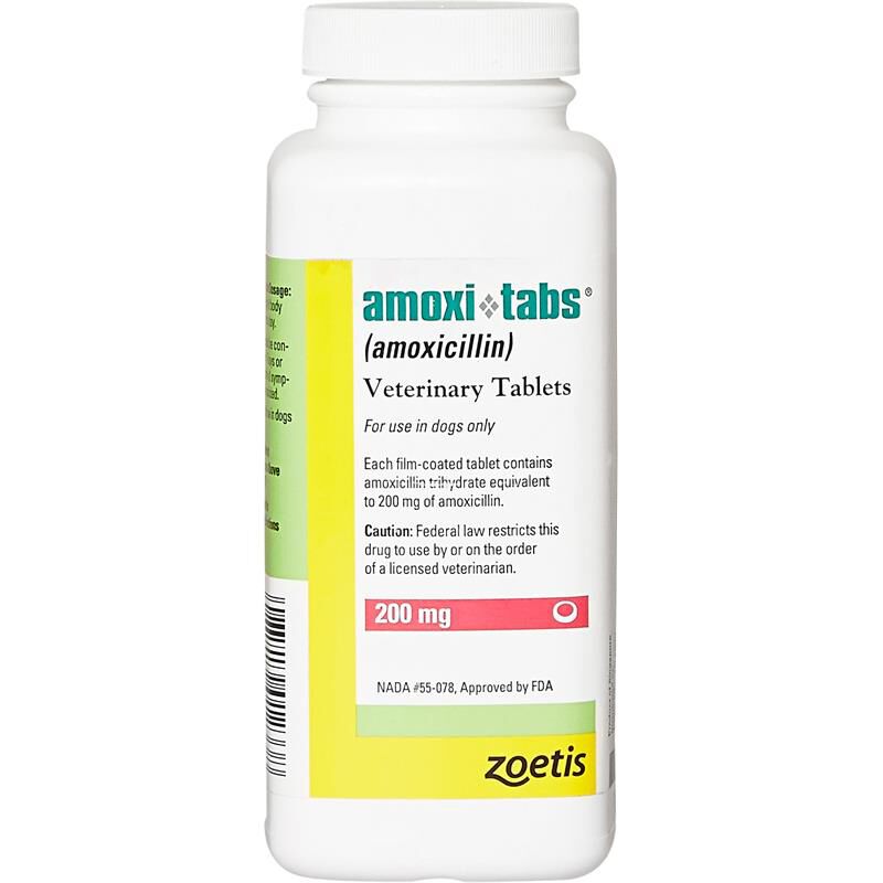 Amoxi-Tabs (Amoxicillin) for Dogs, 200 mg 1 Tablet