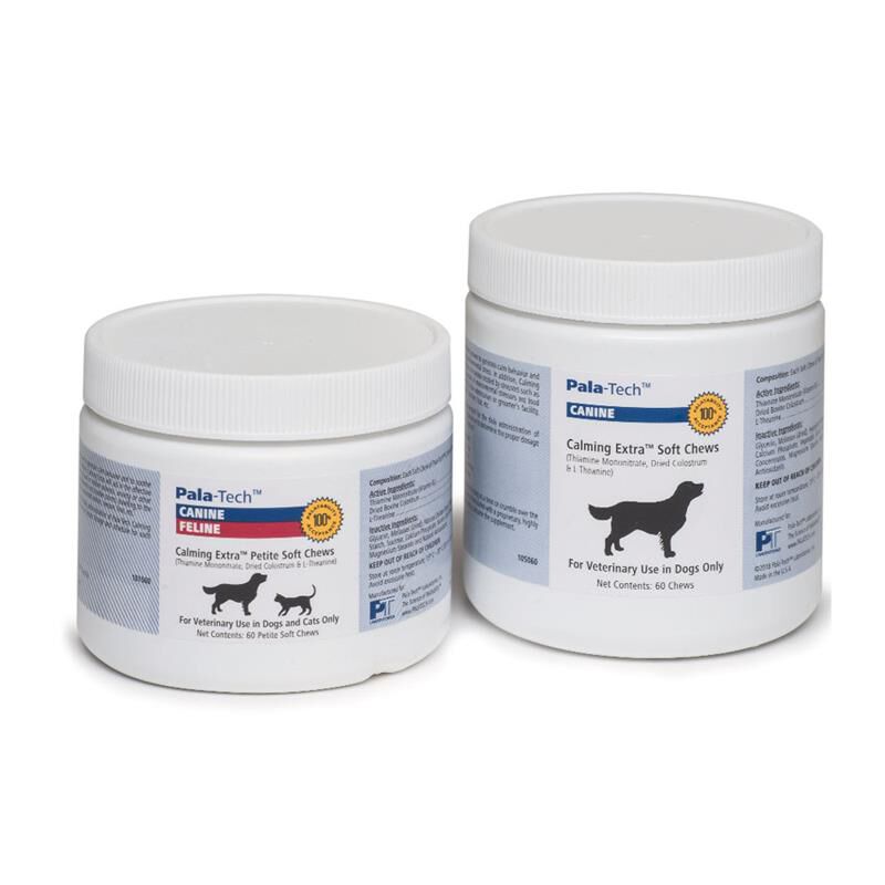 Dog Anxiety Medication Treatment Allivet