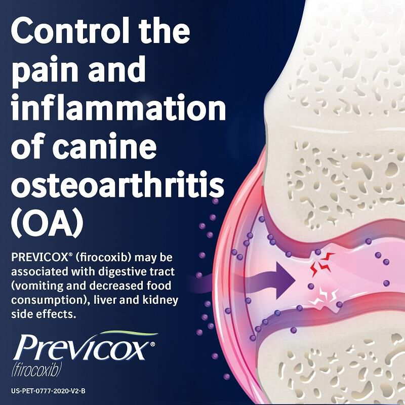 Previcox Chewable Tablets for Dogs