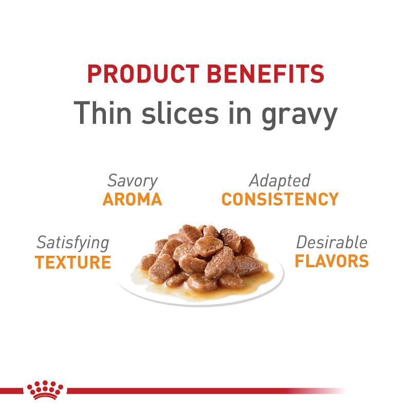 Royal Canin Feline Care Nutrition Adult Hair & Skin Care Thin Slices in Gravy Canned Cat Food, 24 x 3 oz cans
