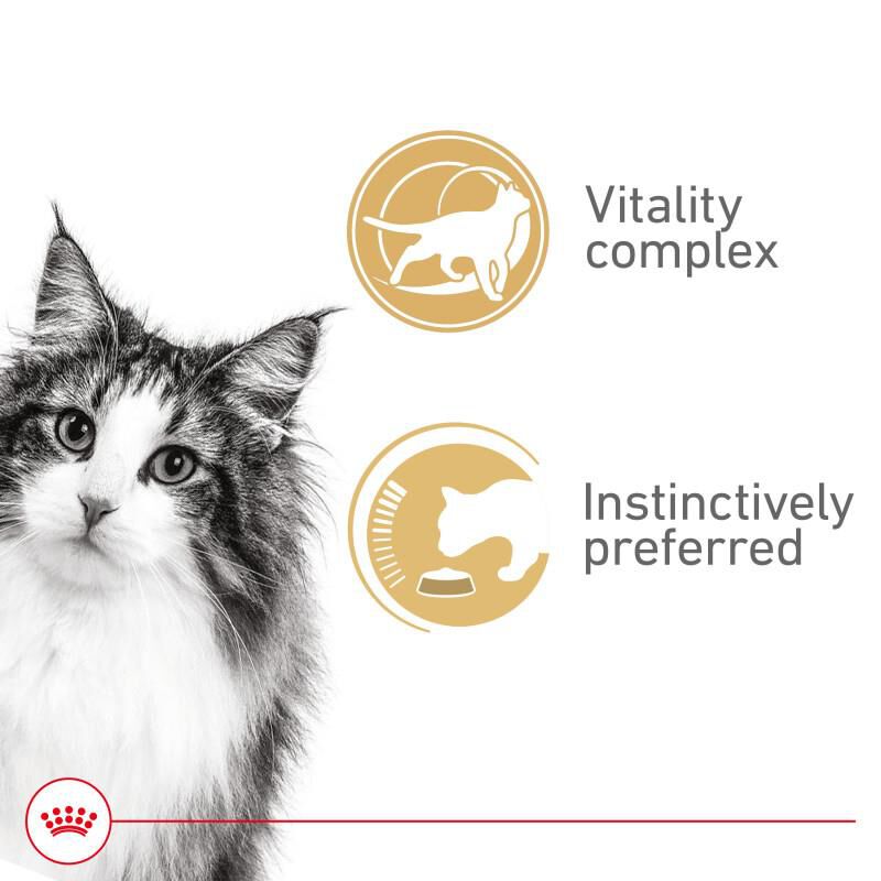 Royal Canin Feline Health Nutrition Instinctive 7+ Thin Slices in Gravy Canned Cat Food, 24 x 3 oz cans
