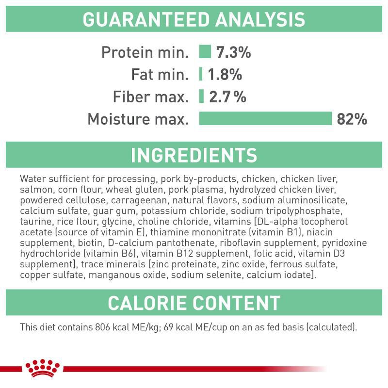 Royal Canin Feline Care Nutrition Adult Digestive Care Loaf in Sauce Canned Cat Food, Case of 24