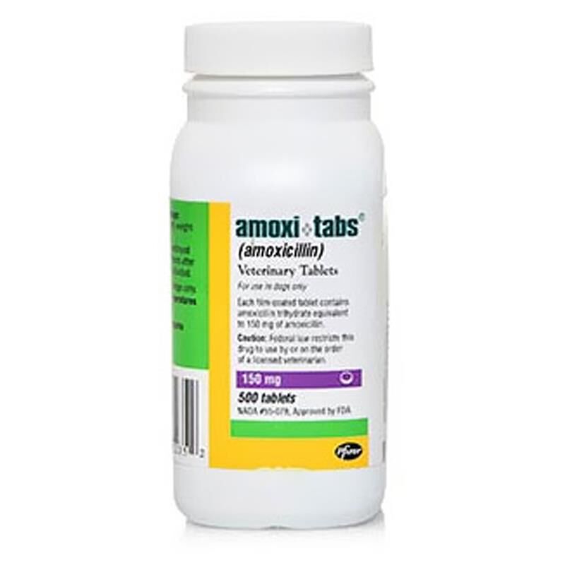Amoxi-Tabs (Amoxicillin) for Dogs, 150 mg 1 Tablet