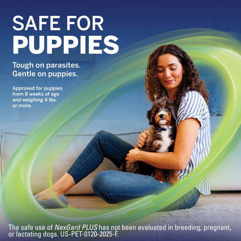 NexGard PLUS Chewables for Dogs 17.1-33 lbs Gold 3 Month Supply