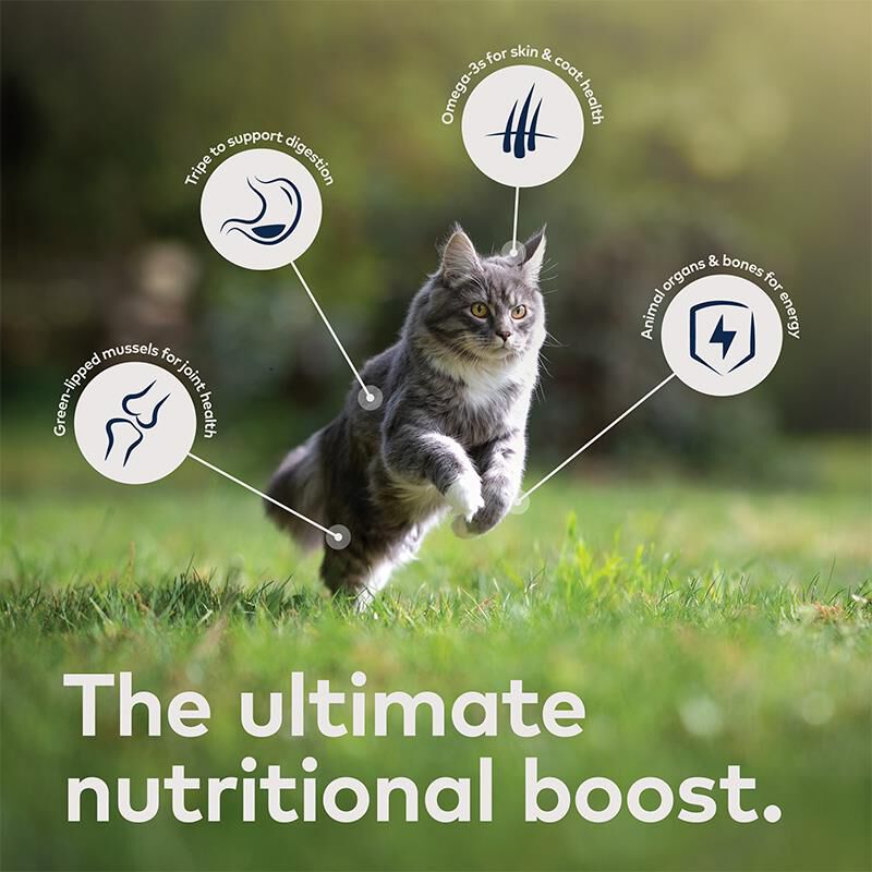 ZIWI Peak Wet Cat Food Variety Pack Beef, Chicken, Lamb, Mackerel & Lamb, Mackerel, Venison, 6 x 3 oz cans
