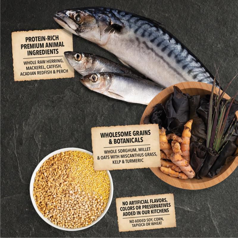 Acana Regionals Wholesome Grains Sea to Stream Dry Dog Food, 22.5 lbs