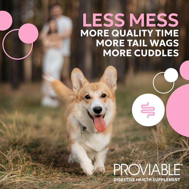 Proviable-DC Digestive Health Supplement for Dogs, 60 Chewable Tablets