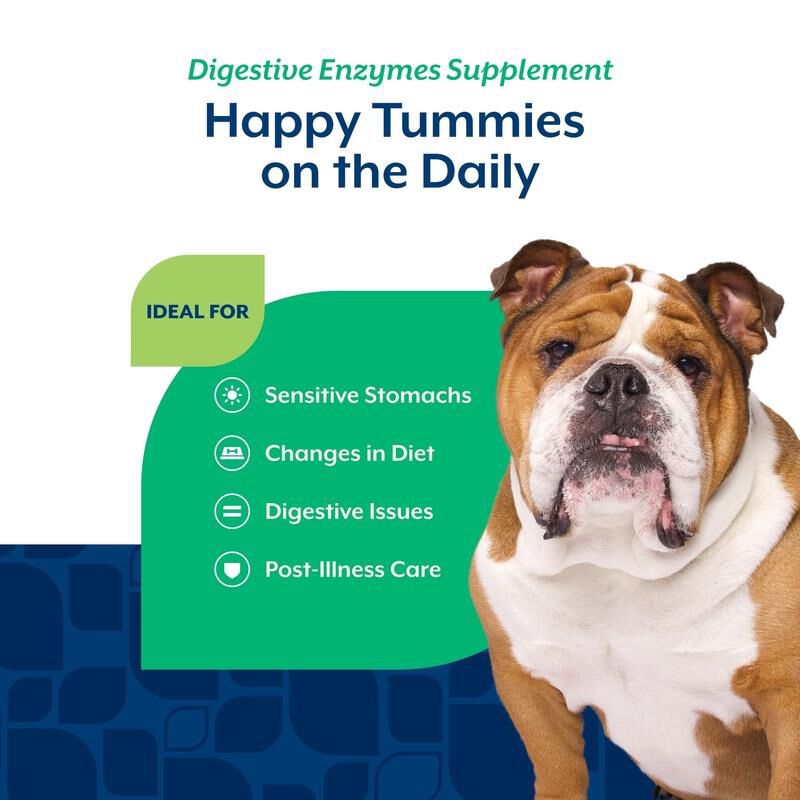 NaturVet Digestive Enzymes Plus Probiotic Soft Chews for Dogs, 70 Ct