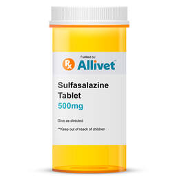 Sulfasalazine - 500mg Tablet