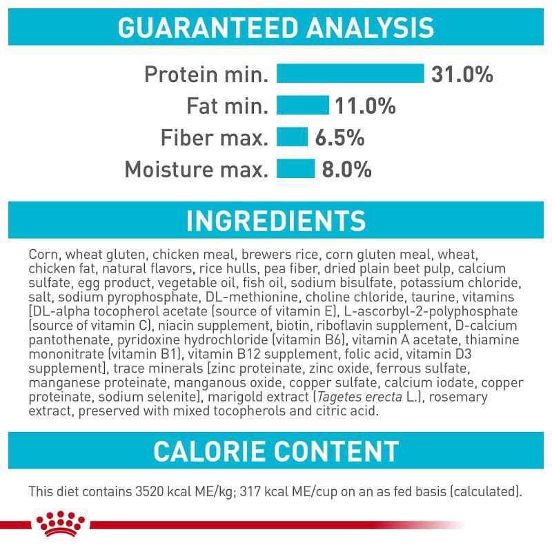Royal Canin Feline Care Nutrition Urinary Care Adult Dry Cat Food