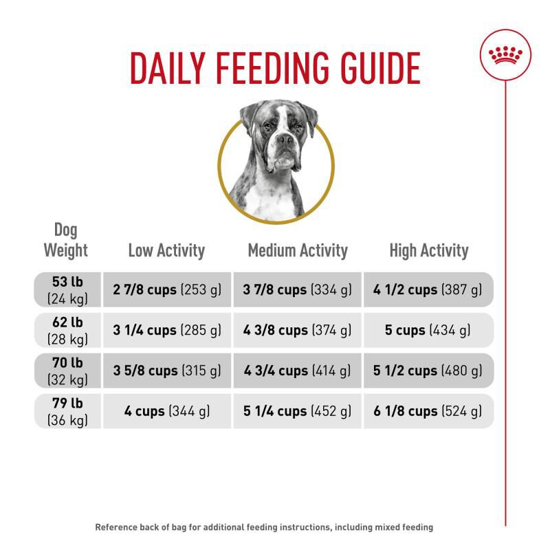 Royal Canin Breed Health Nutrition Boxer Adult Dry Dog Food