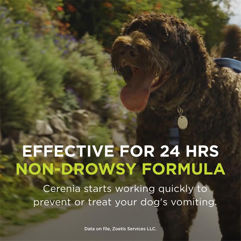 Cerenia Tablets 60 mg, 4 Tablets