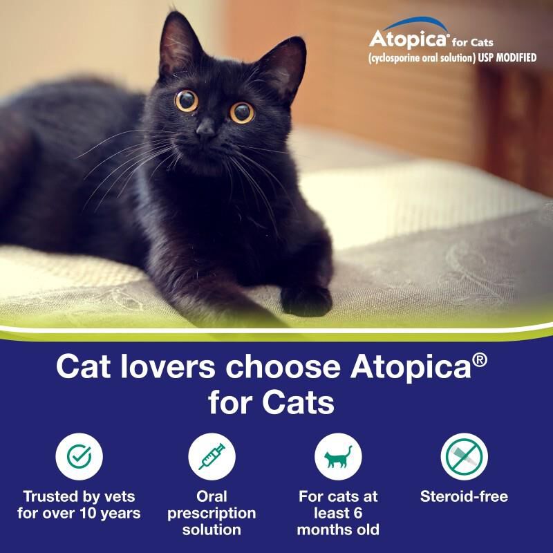 Atopica for Cats Control Chronic Atopic Dermatitis
