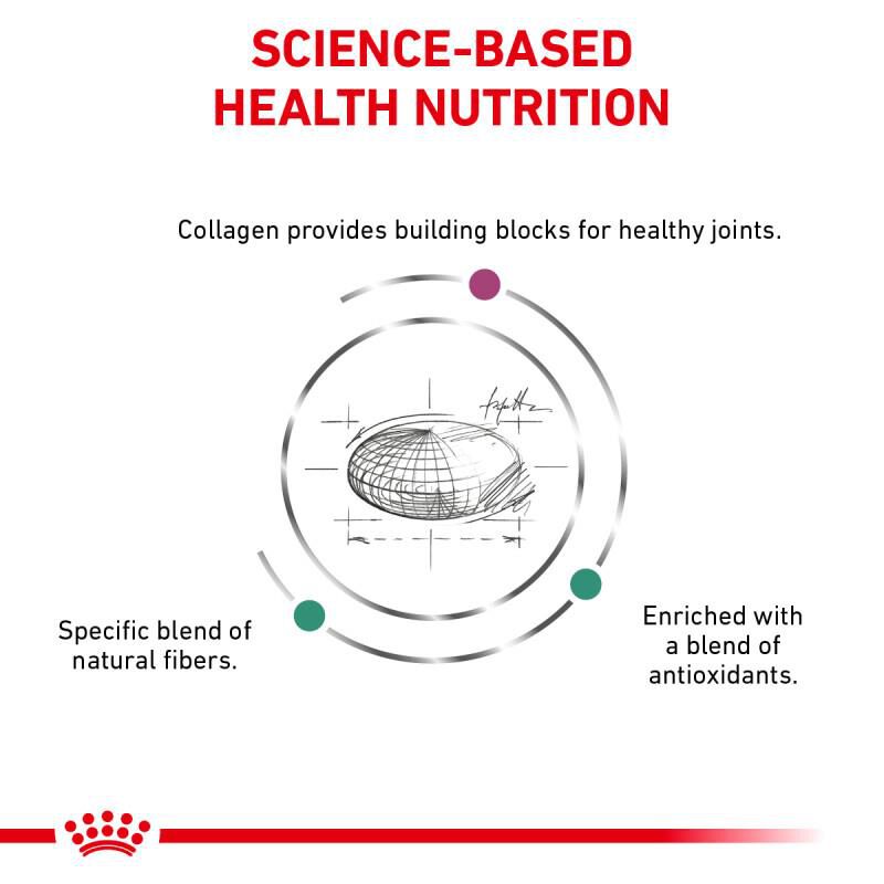 Royal Canin Veterinary Diet Adult Multifunction Advanced Mobility Support + Satiety Dry Dog Food