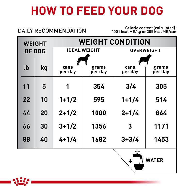 Royal Canin Veterinary Diet Skintopic Loaf in Sauce Adult Canned Dog Food, 24 x 13.5 oz cans