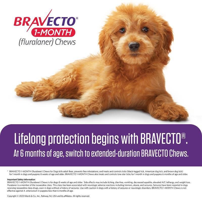 Bravecto Chewable Tablets 44-88 lbs Blue 400 mg, 1 chewable 1 month acting