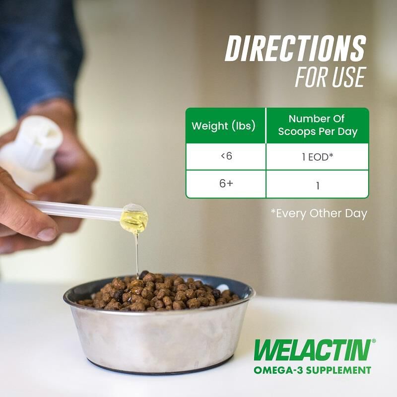 Welactin Feline Liquid for Cats Liquid Omega Supplements Allivet