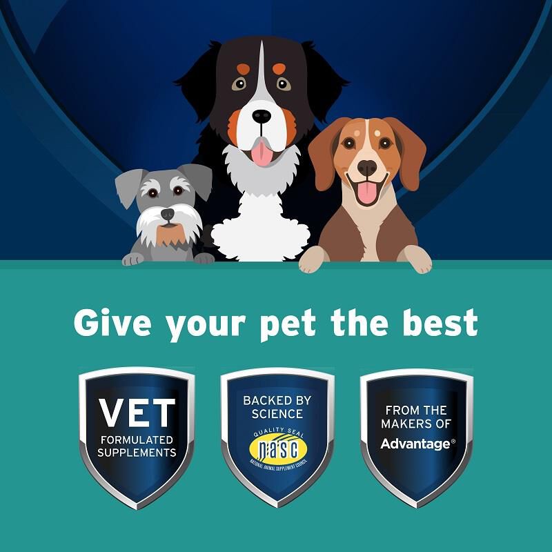 Pet Protect Body Comfort + Alenza Soft Chews for Dogs, 120 Ct.