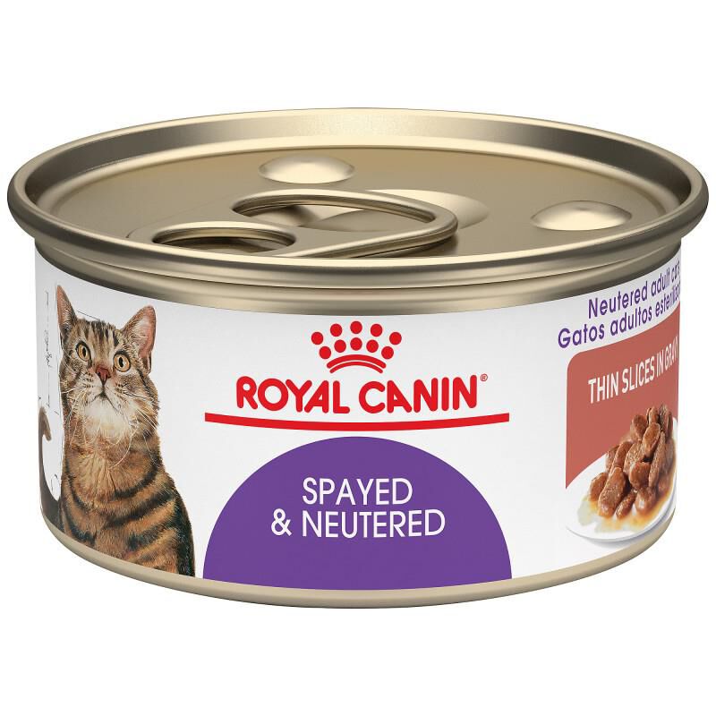 Royal Canin Feline Health Nutrition Spayed/Neutered Thin Slices in Gravy Canned Cat Food, 24 x 3 oz cans