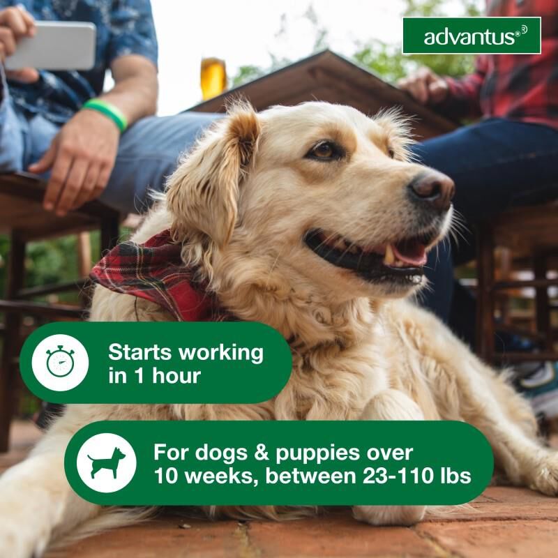 Advantus Oral Flea Treatment Soft Chews for Dogs, 7.5 mg for Small Dogs (4-22 lbs) 7 Ct.