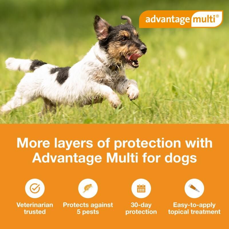 Advantage Multi Topical for Dogs 9.1-20 lbs Teal, 6 Month Supply