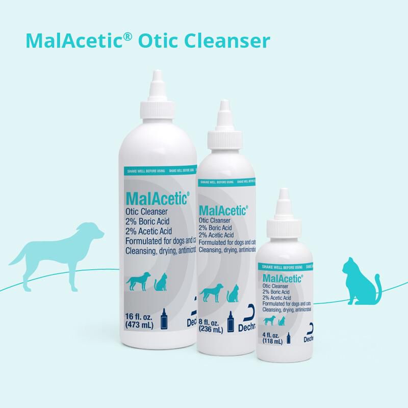 MalAcetic Otic, 8 oz