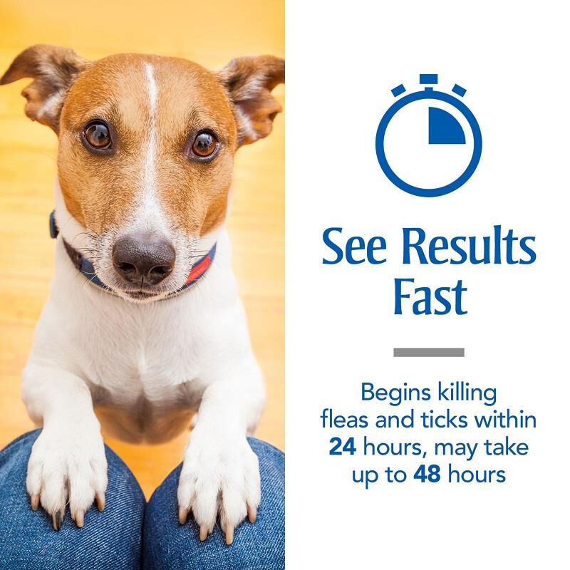 PetArmor Plus Flea and Tick Prevention for Large Breed Dogs (45 to 88 Pounds) Topical, 3 Monthly Treatments