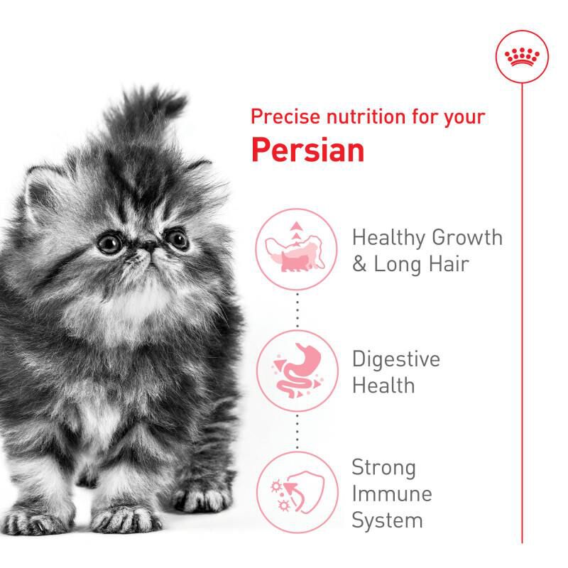 Royal Canin Feline Breed Nutrition Persian Kitten Dry Cat Food, 3 lb bag