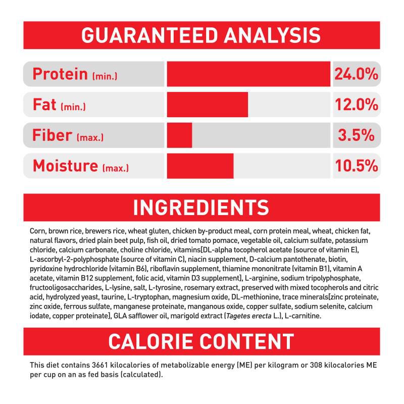 Royal Canin Size Health Nutrition Small Aging 12+ Dry Dog Food