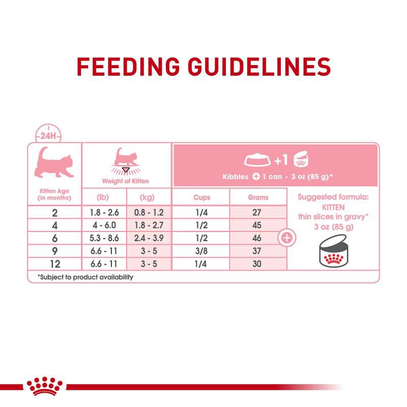 Royal Canin Feline Health Nutrition Kitten Thin Slices in Gravy Canned Cat Food, 24 x 3 oz cans