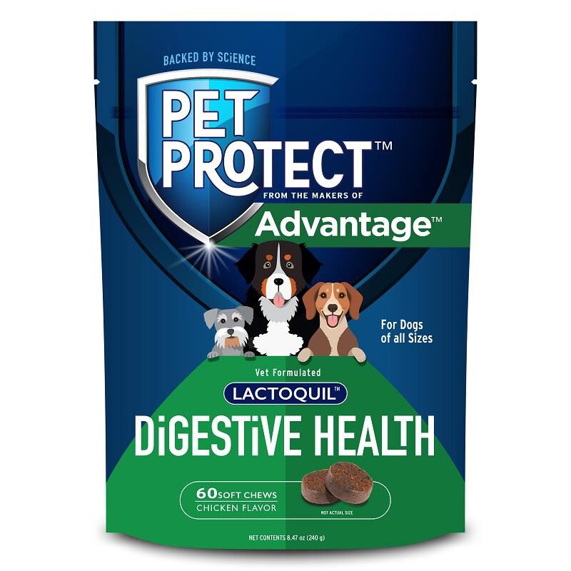 Pet Protect Digestive Health Lactoquil Soft Chews for Dogs, 60