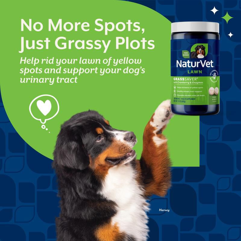 NaturVet GrassSaver, 300 Chewable Wafers