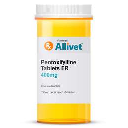 Pentoxifylline 400 mg ER Tablet