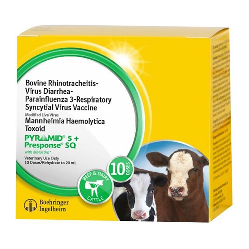 Pyramid 5 + Presponse SQ Cattle Vaccine