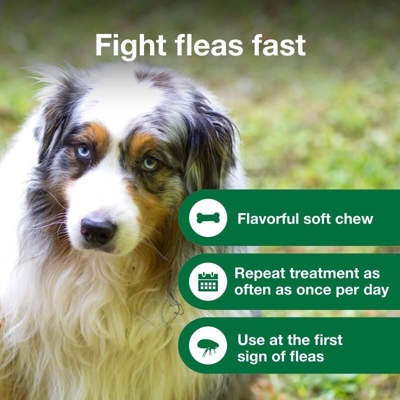 Advantus Oral Flea Treatment Soft Chews for Dogs, 37.5 mg for Large Dogs (23-110 lbs) 30 Ct.