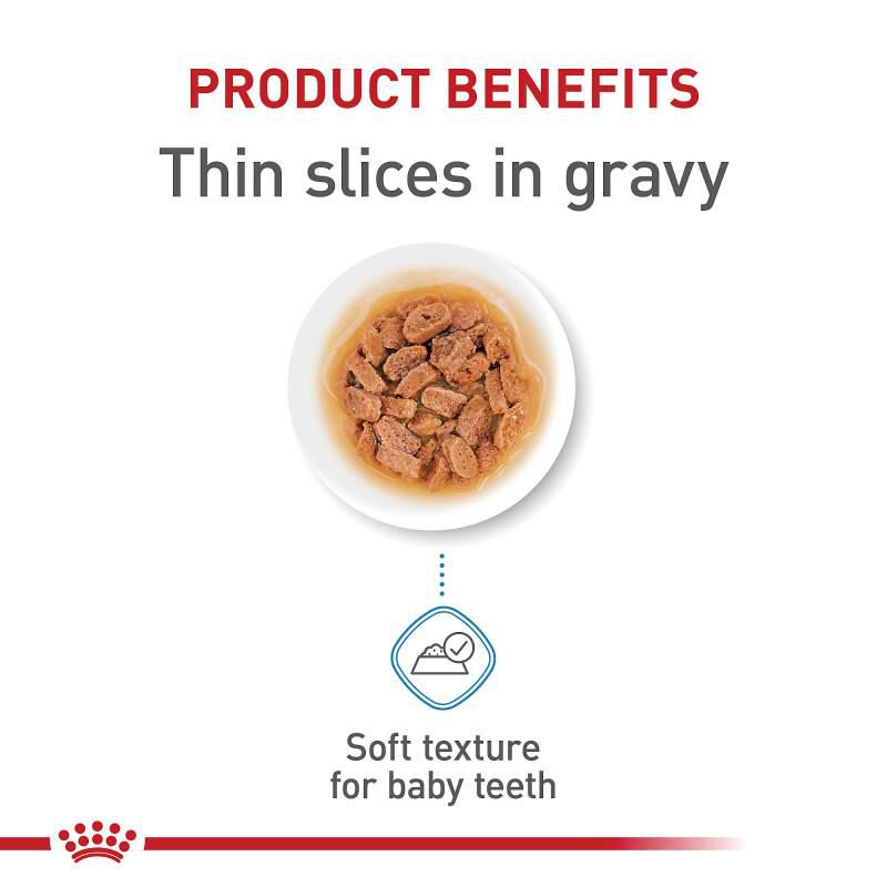Royal Canin Size Health Nutrition X-Small Puppy Thin Slices in Gravy Canned Food, 24 x 3 oz cans