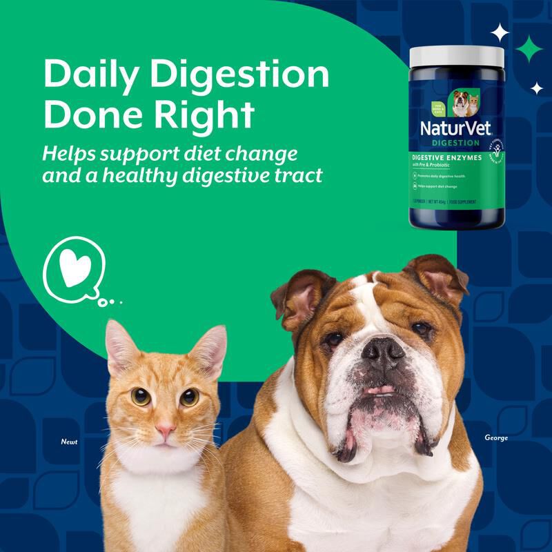 NaturVet Digestive Enzymes Powder, 1 lb